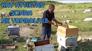 Kat attıktan sonra yapılacaklar | Kattan sonra ne yapmalıyız ne fayda