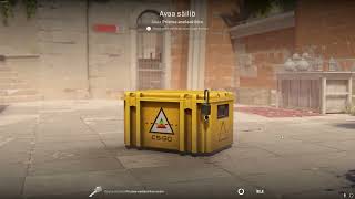 DAY 283 OPENING CS2 CASES UNTIL I GET GOLD!