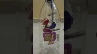 Digestive system in water bottle