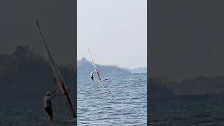 Pare2 windsurfing(12)