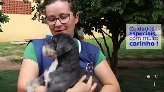 Hotel  da Vivi hospedagem para cães e gatos em Atibaia