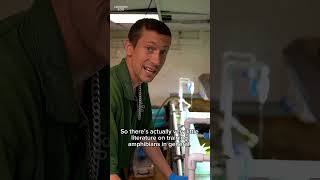 Conservation HQ - Episode 4 - Training Chinese giant salamander #londonzoo