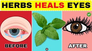 6 Best Herbs To Improve Your Eyesight  | Unlock Clear Vision Naturally. Healthy.