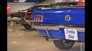 INSANE American Muscle Car Collection In South Africa