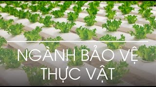 Ngành Bảo vệ thực vật là gì? Ra trường làm gì? Lương bao nhiêu?