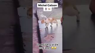 Michael Catson 😂😂😂 #cómico #memes #shorts #viral #gracioso #dhrex