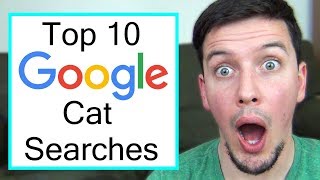 The Top 10 Most Searched Cat Questions on Google