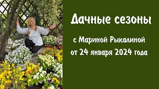 Дачные сезоны с Мариной Рыкалиной от 24 января 2024 года