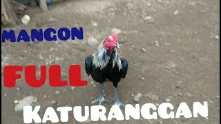 Mangon/JaLak FuLL KaturangaGan