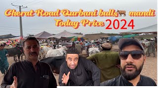 Cherat Raod Mahajar bazar bulls 🐄 Mandi || Toady Prices || Haider Said Vlogs 🇵🇰❤️ || Salah Khana