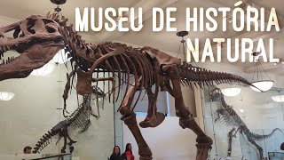 Museu de História Natural | Museum of Natural History New York City