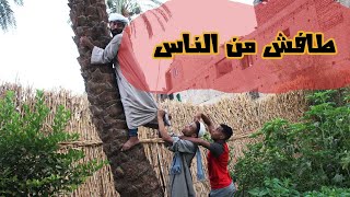 الحاج صديق 'طفش من كلام الناس وهواويل كل يوم