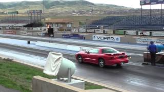 LS1 Trans Am on 150 Shot vs Nissan GTR