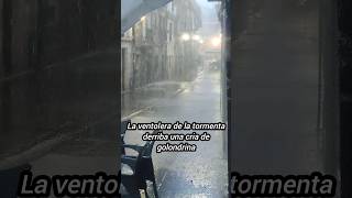 Rescate en la Tormenta: Salvando y liberando a una joven Golondrina