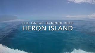 Heron Island 2020