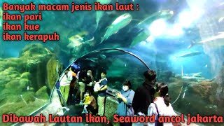 Seaword ancol 2022, Melihat ikan di seaword ancol | vlog traveling ancol