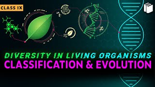 Classification and Evolution | Chapter 7 | Class 9 | PuStack