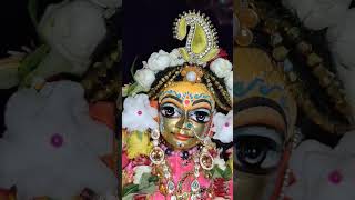 19th Day of Chandan Yatra 2024 || Daily Wonderful Radha Madhava Darshan #isckon #wonderful