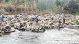 plung nyot ikan mahseer sungai serayu lagi ngamuk bener bener di luar dugaan