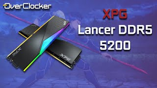 XPG Lancer DDR5 5200 32GB Review (Budget kit with flare)