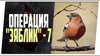 Операция "Зяблик" #7 ➤ Базу по фану ➤ Мир танков.