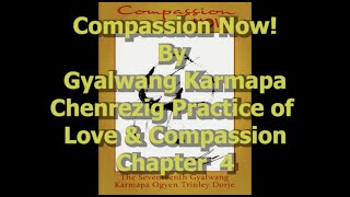 Compassion Now Chapter 4