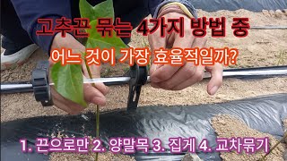 고추끈 묶는 4가지 방법 중 어느 것이 가장 효율적일까? 1. 끈으로만 2. 양말목 3. 집게 4. 교차묶기