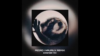 PEDRO ( NAURIUX REMIX ) ( EXTENDET MIX )