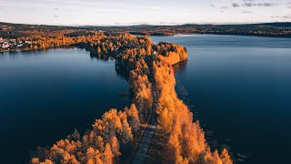 The last of autumn foliage in Lapland Finland!