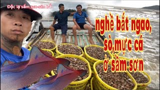 Nghề bắt ngao,sò,mực,ốc,cá ở biển sầm sơn/độc lạ sầm sơn-săn bắt,sinh tồn