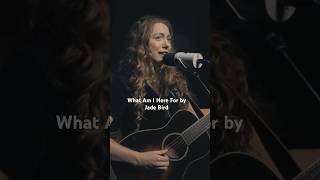 What Am I Here For by Jade Bird #cover #singersongwriter #acoustic