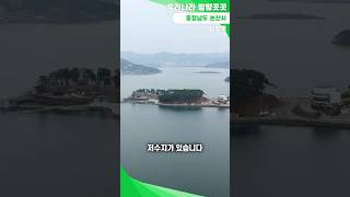 [탑정호] 충청남도에서 두 번째로 큰 저수지인 충청남도 논산시의 탑정호  [우리나라 방방곳곳 #5]