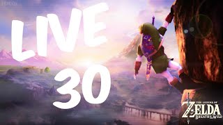 Zelda Breath of the Wild live 30