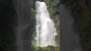 CURUG 9 #bengkulu #shorts #waterfall #nature #airterjun #curug