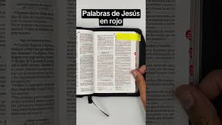 Biblia Bolsillo Rvr60 Símil Piel Negro/gris Cierre