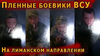 Пленный укроп с Лиманского направления