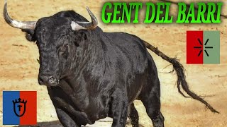 GENT DEL BARRI 05/08/2023 BARRIO DE LA MAGDALENA (Massamagrell) #eltorero #hatoblanco #torosbravos