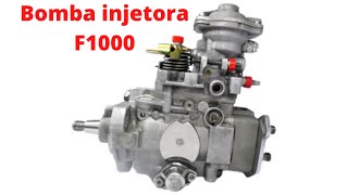 Bomba injetora F1000, Motor Maxion HSD 2.5