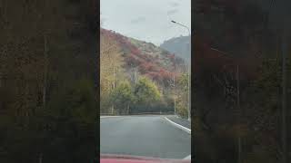 Almaty road trip. Дороги Алматы. Едем вверх на Медео. Осень 2024. #kazakhstan #roads #almaty