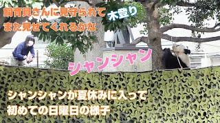 東園におかえりなさい記念　シャンシャンが夏休みに入って初めての日曜日の東園の様子と木登り　2022年7月10