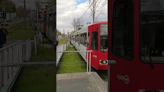 KVB Type B LRV | 16 - Niehl Sebastianstr. | Amsterdamer Str./Gürtel, Köln