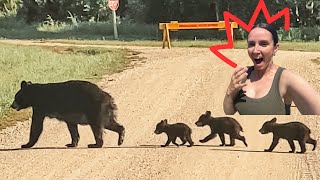 NEZ à NEZ avec des OURS, c'est INCROYABLE ! Mais on attrape des PUCES de canards, BEURKKKKK !