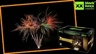 Blackboxx Fireworks - Xtravagant | 25 Schuss Fächercake [Top Neuheit für 2024]