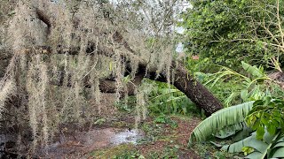 The Day After Hurricane Ian at our Farm in Sarasota, FL