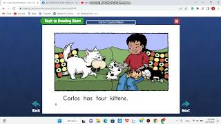 Carlos Counts Kittens