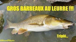 Gros Barbeaux au leurre, Triplé !!!