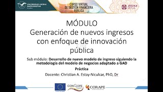 Curso Generación de Nuevos Ingresos con enfoque de innovación pública - Práctica