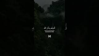 ارح سمعك مع لقارئ عبدالرحمن مسعد🤍🎧 #عبدالرحمن_مسعد #تلاوة #القرآن #القران_الكريم