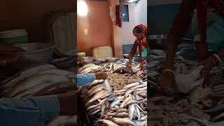 Puri fish Market