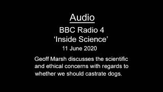 Castrating Dogs - Is it necessary? Is it healthy? Is it ethical?